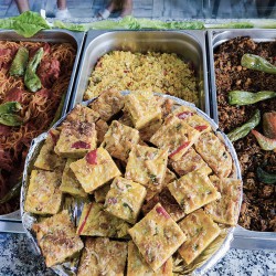 Plat Diari