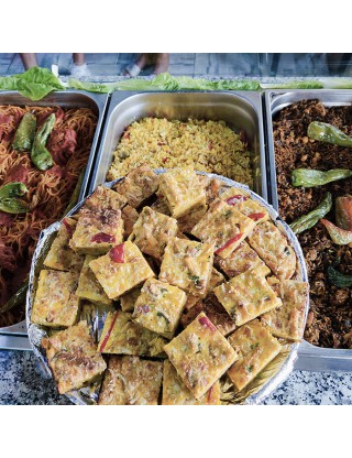 Plat Diari