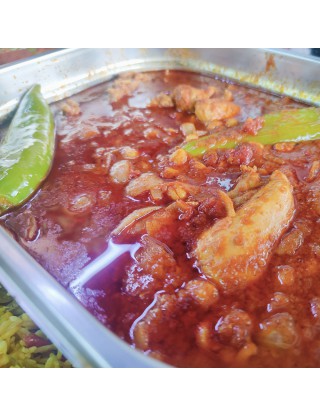 Plat Diari
